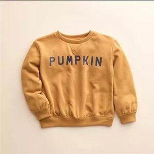 Little Co. by Lauren Conrad Pumpkin sweatshirt 3M NWT